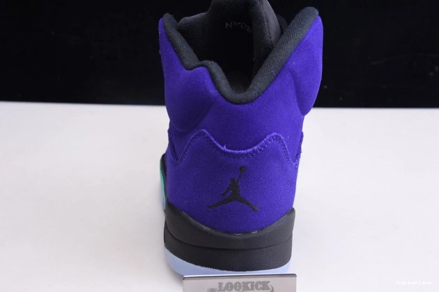 HYPE 5 136027-500 Alternate Grape Jordan Air Retro 0811